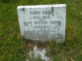 image number Sayer David 242